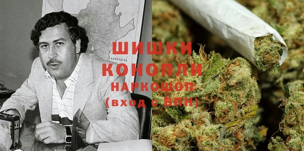 бошки Болотное