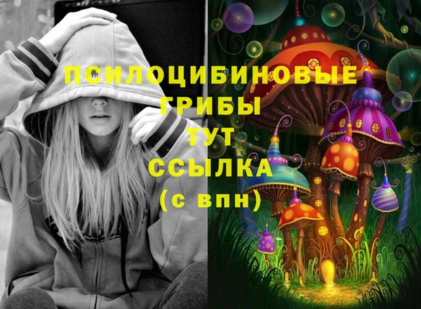 спиды Надым