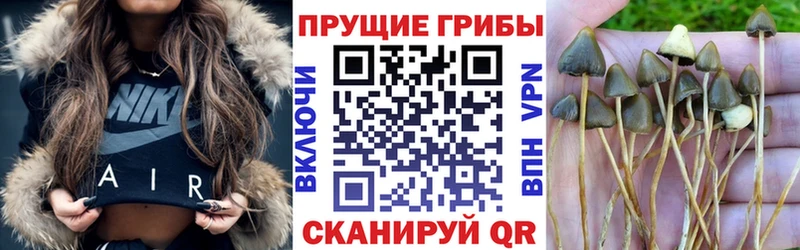Псилоцибиновые грибы прущие грибы  кракен рабочий сайт  Приморско-Ахтарск 