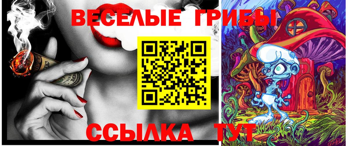 Галлюциногенные грибы GOLDEN TEACHER Приморско-Ахтарск