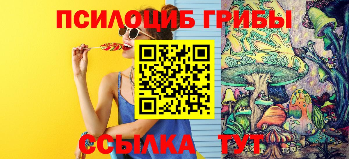 Псилоцибиновые грибы ЛСД  Псилоцибиновые грибы мухоморы  Приморско-Ахтарск  Вход с VPN 